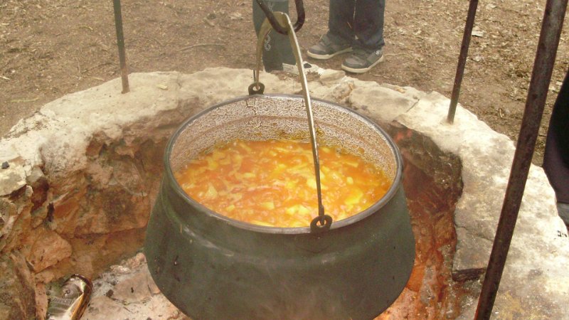 2011 05 02 Vadaspark 078.jpg